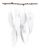 Dekorkarton, 2 oldalas, 50x70 cm, 300 g, 10 lap, FOLIA, fehér